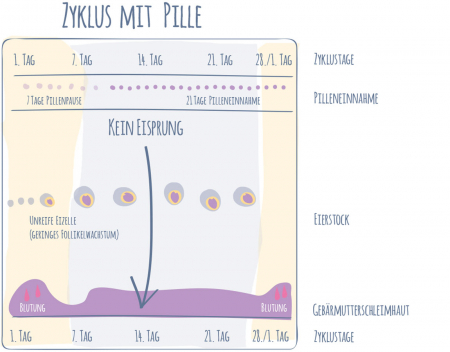 Kann danach nach die lang sich periode wie verschieben pille Pille danach: